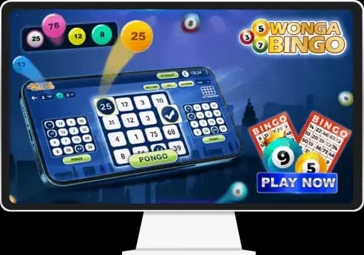 bingo caller software script source code