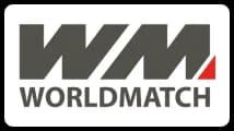 wm word match games provider