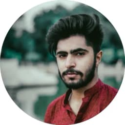 aryan - expert vue.js developer