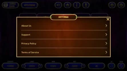 settings screen for slot machine game interface