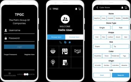 the palm group of companies