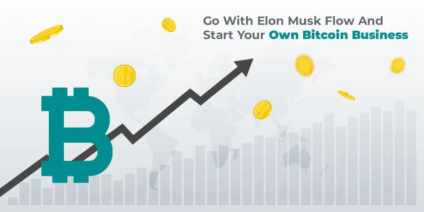 Elon Musk’s Blueprint: Crafting Your Path In The Bitcoin Industry Bitcoin Industry