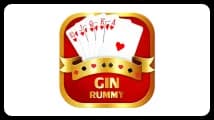 Gin Rummy Poker Card Game gin rummy poker card game