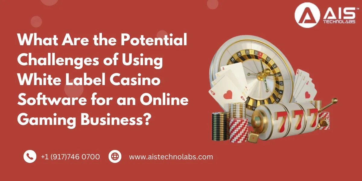 What Are the Potential Challenges of Using White Label Casino Software