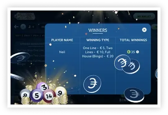 bingo display software