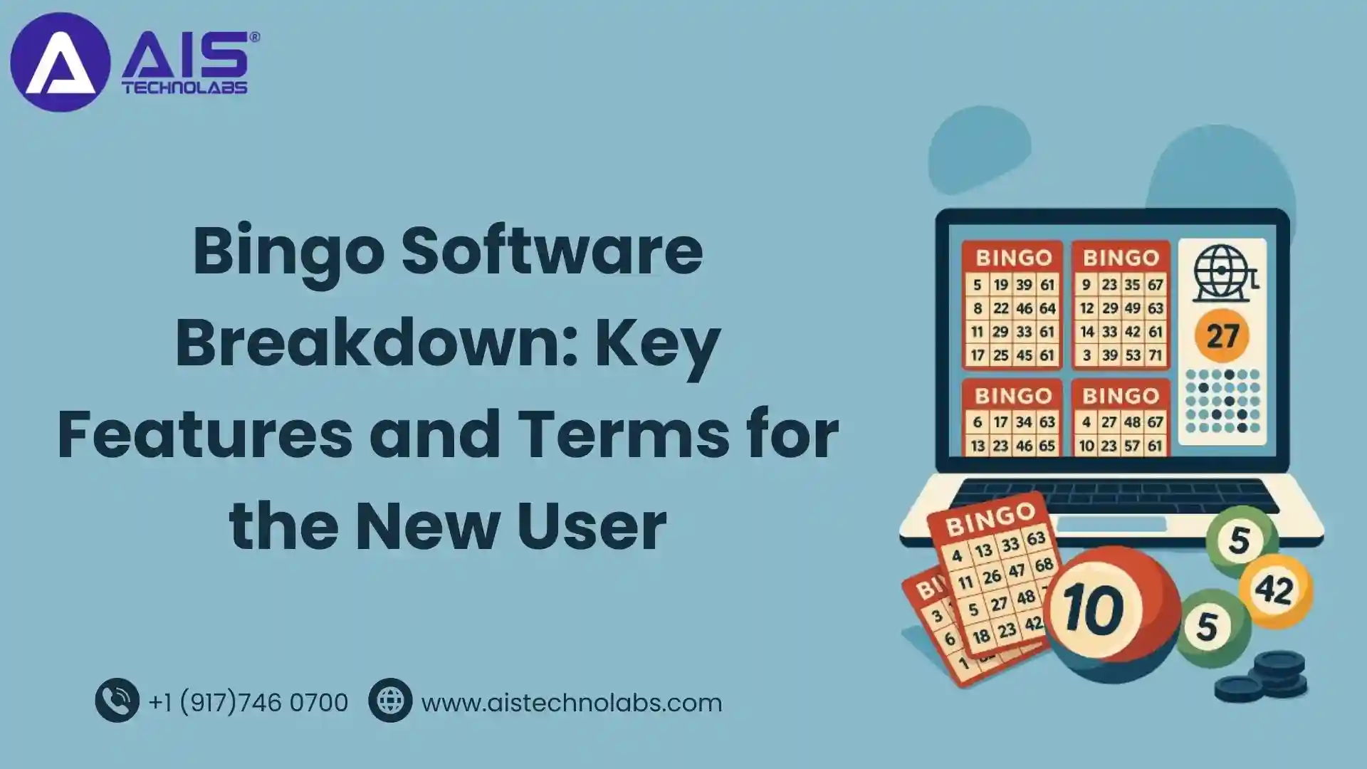 Bingo Software Breakdown: Key Features for New Users