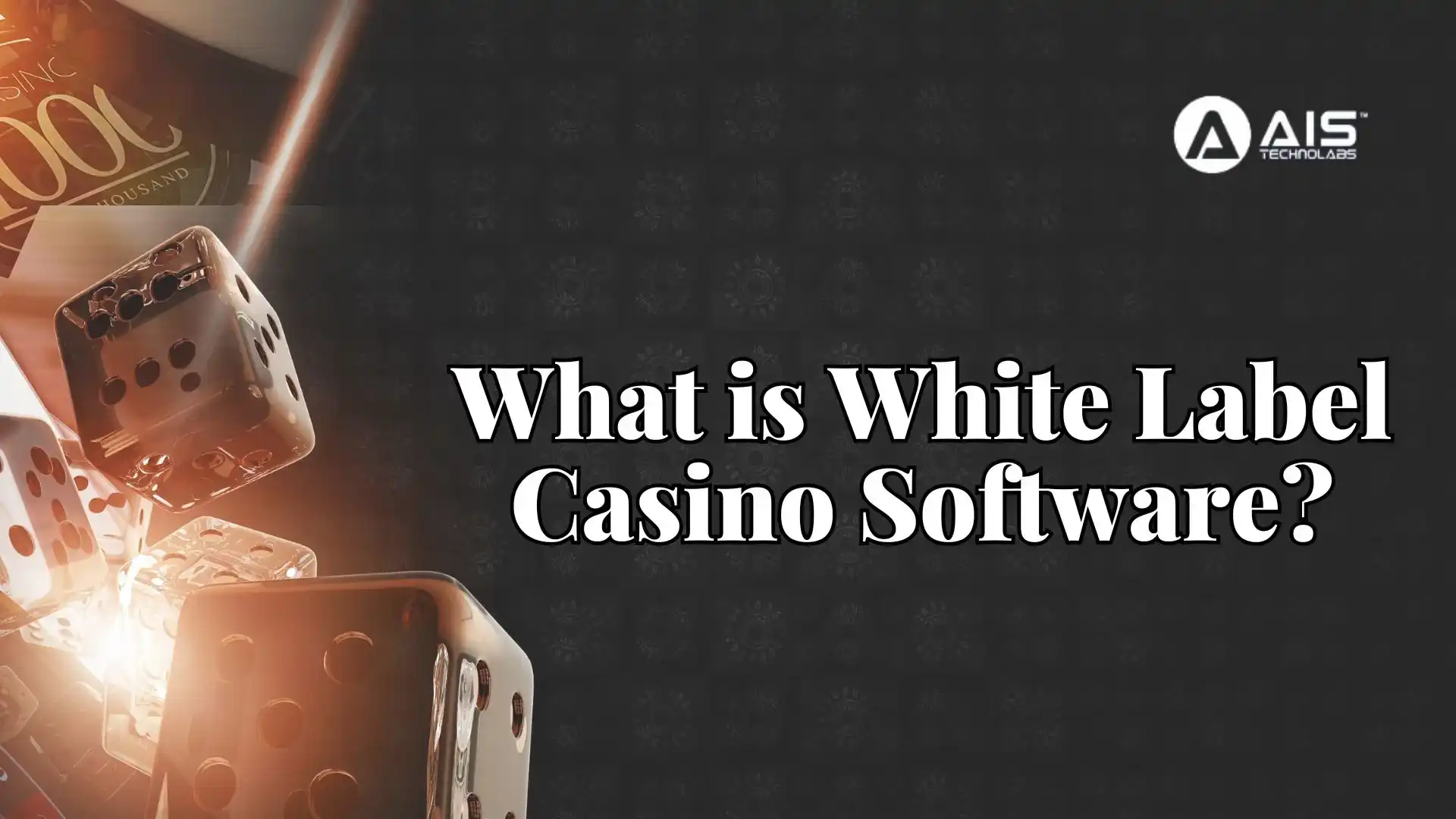 What Is White Label Casino Software? what is white label casino software?