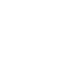 hire reactjs developers india mobile