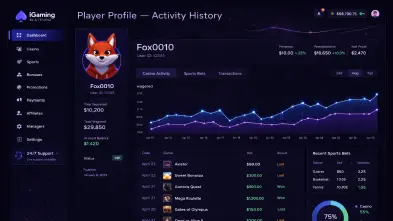 Player profile — activity history
