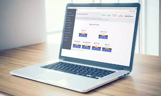 mlm-system-feature