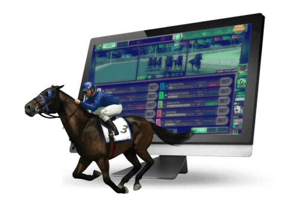 horse racing betting software