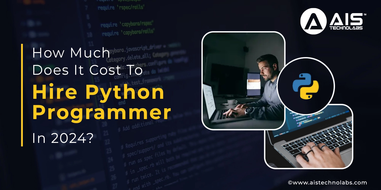 How Much Does It Cost To Hire Python Programmer In 2024?